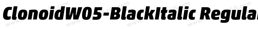 ClonoidW05-BlackItalic Regular字体转换